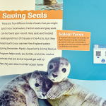 colorful poster with pictures of baby seals with text explaining mystic aquarium's animal rescue program