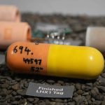 a photo of life history transmitters that look like pill capsules and are orange and yellow