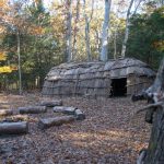 Reconstructed Indigenous wigwam made of bark and wood in a forest clearing, surrounded by fallen leaves and logs arranged around a fire pit.