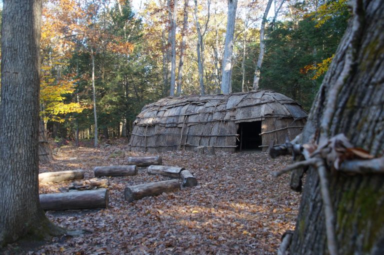 Reconstructed Indigenous wigwam made of bark and wood in a forest clearing, surrounded by fallen leaves and logs arranged around a fire pit.