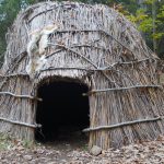Close-up of a small dome-shaped wigwam constructed from reeds and branches, with an open doorway and animal fur draped over the exterior in a wooded area.