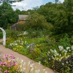 Colorful garden at the Webb Deane Stevens Museum featuring winding paths bordered by pink, purple, blue, and white flowers and lush greenery. A white garden arbor and historic wooden building are visible among mature trees.